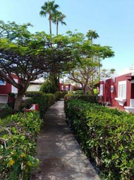 Bungalow