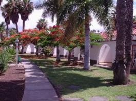 Bungalow