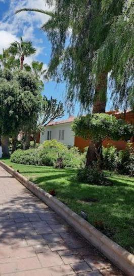 Bungalow