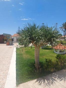 Bungalow